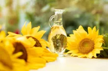 Olej słonecznikowy znaleźc można w kremach do twarzy, balsamach do ciała, odżywkach do włosów, szminkach i innych kosmetykach.