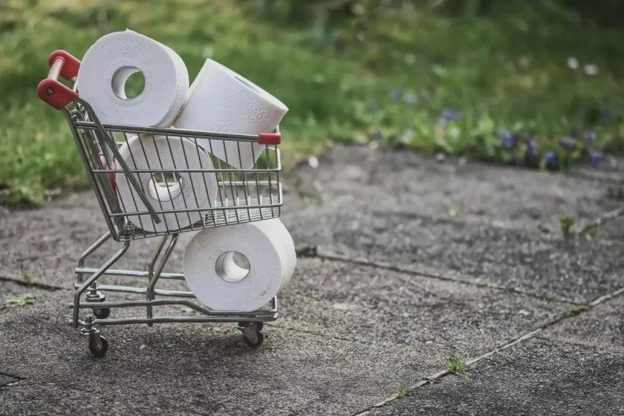 Producenci papieru toaletowego, z obawy o reakcję klientów na dalsze podwyżki cen, zaczęli ”odchudzać” rolki