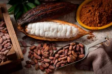 &lt;p&gt;Masło kakaowe wykorzystywane jest m.in. w kremach do opalania, które doskonale pielęgnują skórę, łagodzą oparzenia słoneczne i stany zapalne skóry&lt;/p&gt;