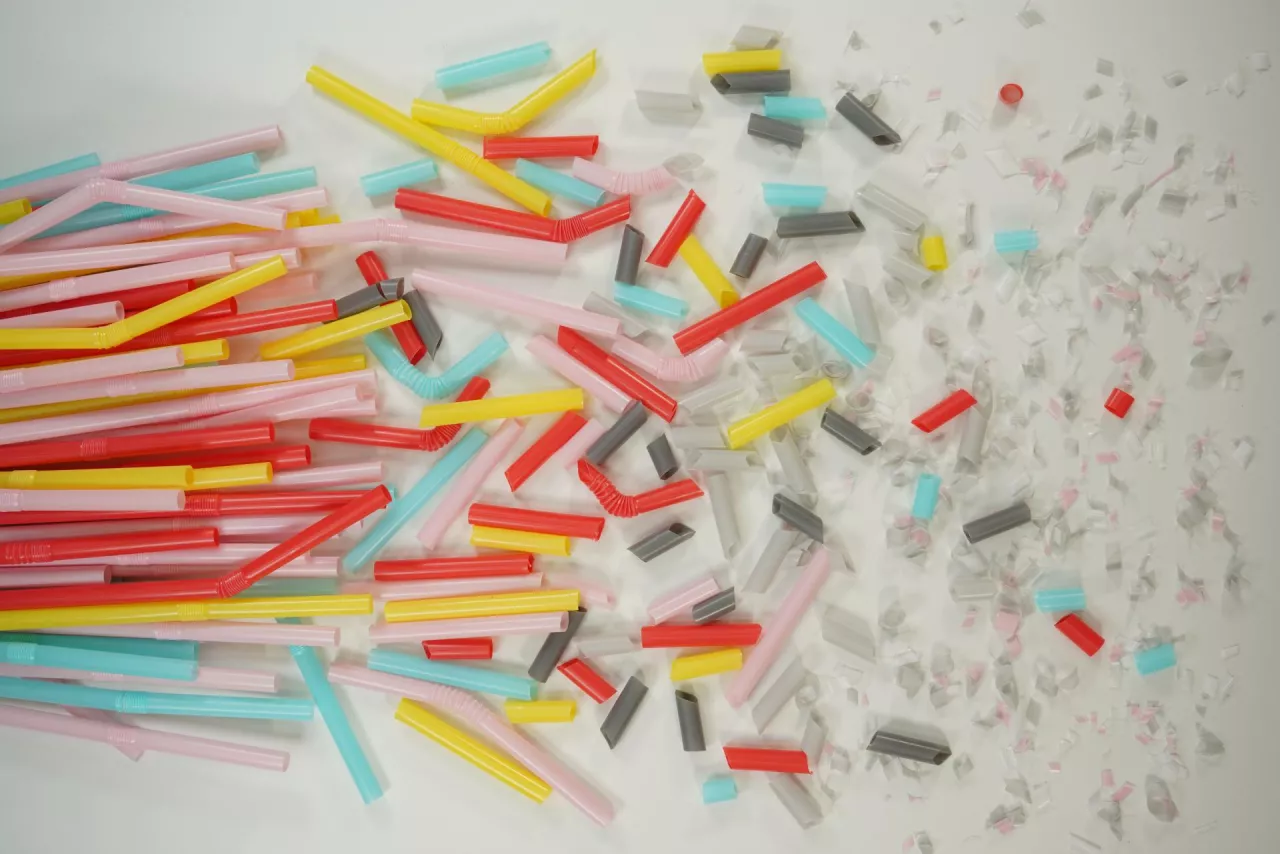 Mikroplastiki zostały odnalezione w blaszce miażdżycowej u pacjentów badaczy z Uniwersytetu w Neapolu.