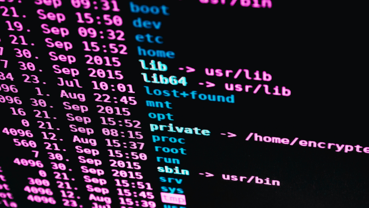 Z najnowszego raportu Adyen Retail Report 2024 wynika, że co trzecia polska firma handlowa padła ofiarą cyberataku, oszustwa lub wycieku danych.
