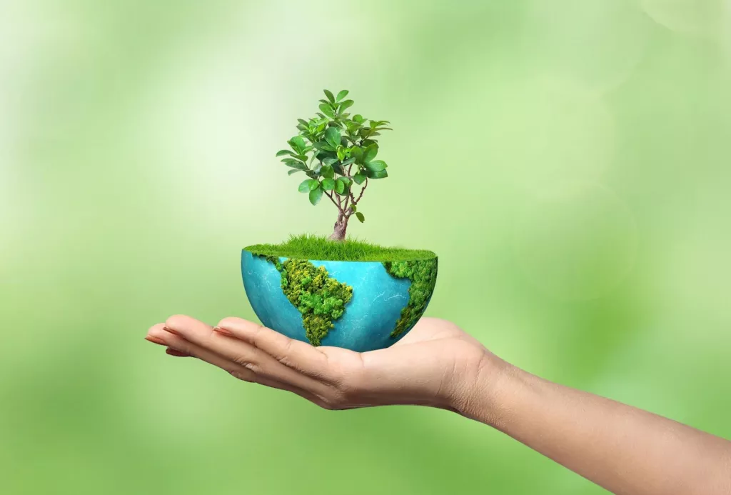 Na całym świecie liczba konsumentów wierzących, że możemy uratować planetę spadła z 55 proc. w 2021 r. do 48 proc. w 2024 r.