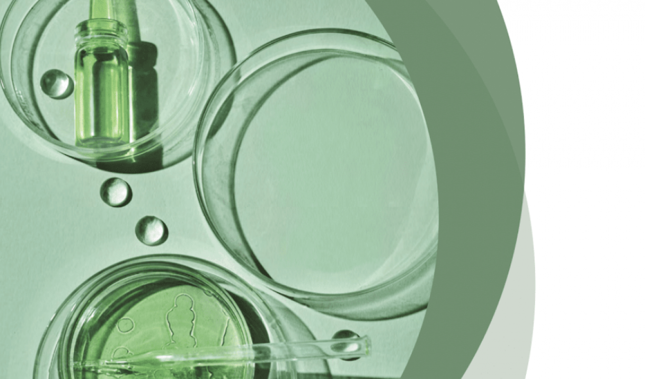 Rozwój Grupy BIelenda wspiera nowoczesne zaplecze badawczo-rozwojowe oraz wyspecjalizowane kompetencje w zakresie formulacji, technologii i zgodności regulacyjnej