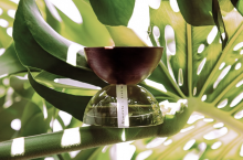 Marka XINÚ wypracowała sobie niszę na rynku luksusowych perfum dzięki skupieniu się na rzemiośle, zrównoważonym wzornictwie