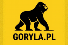 Nowy e-commerce ma zagrozić Allegro.