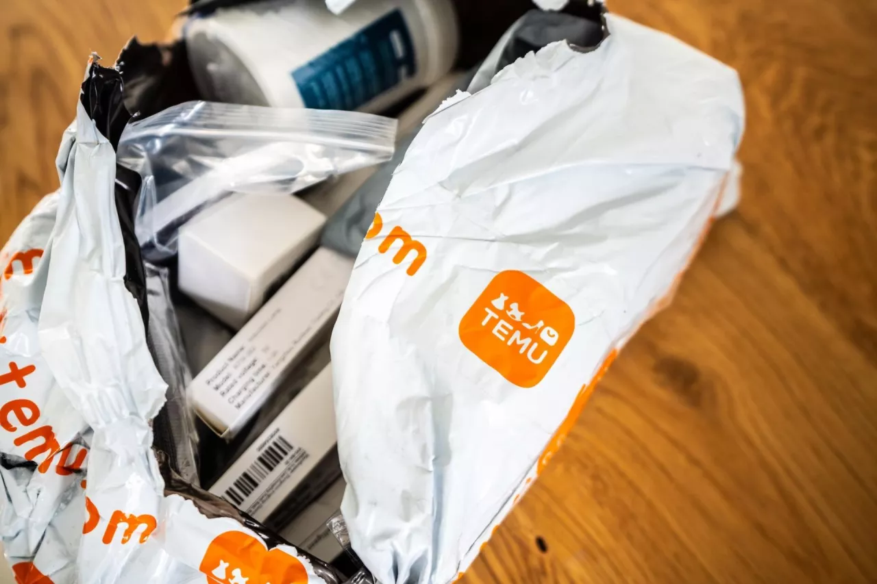 Temu coraz bardziej podpada organom unijnym.