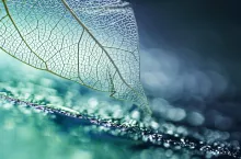 Odpowiedzialność środowiskowa oraz personalizacja oferty wymagają od przedsiębiorstw innowacyjnego, opartego na danych i empatii podejścia