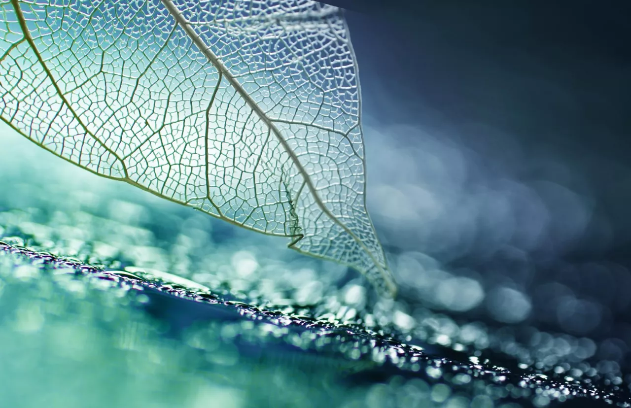 Odpowiedzialność środowiskowa oraz personalizacja oferty wymagają od przedsiębiorstw innowacyjnego, opartego na danych i empatii podejścia