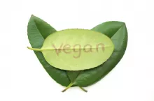 symbol of vegan on green leaf