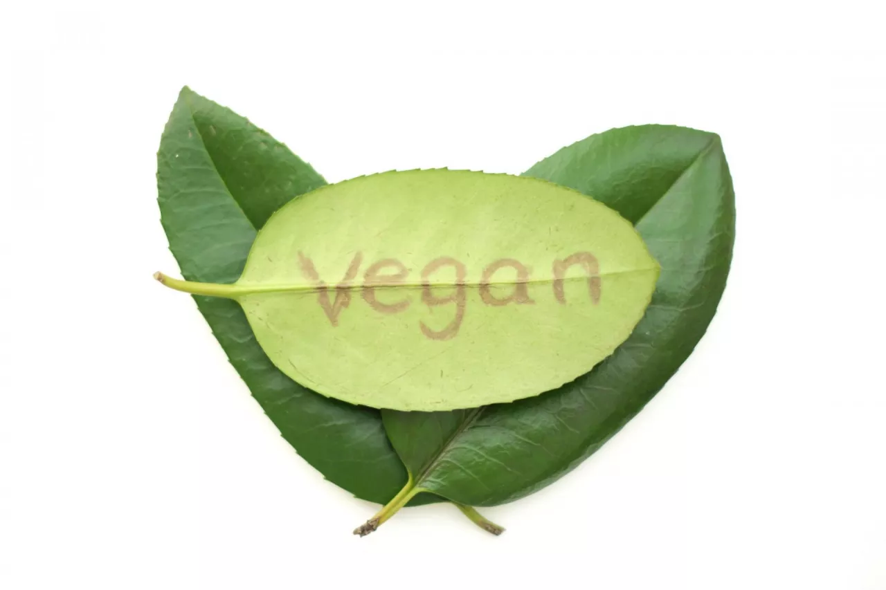 symbol of vegan on green leaf