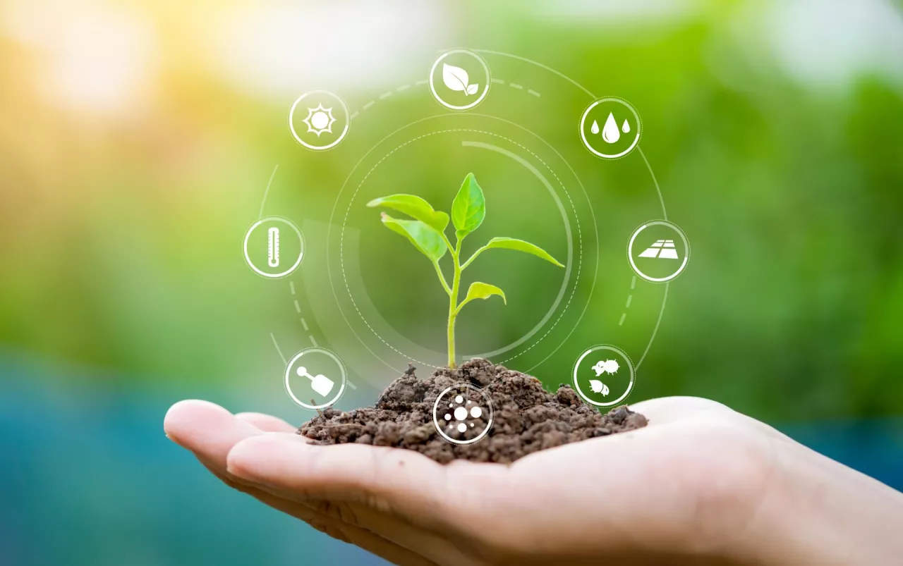 Im szybciej przedsiębiorcy dostosują swoje komunikaty do nowych wymogów, tym mniejsze będzie ryzyko zarzutów greenwashingu i kar ze strony UOKiK