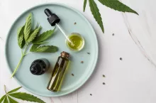 Olej CBD, czyli olej z kannabidiolem, to produkt, który znajdziemy w wielu sklepach z ekologiczną żywnością