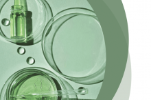 Ze względu na istotne znaczenie dla przemysłu kosmetycznego, branża planuje podjąć działania mające na celu obronę możliwości dalszego stosowania heliotropiny oraz olejku z drzewa herbacianego.