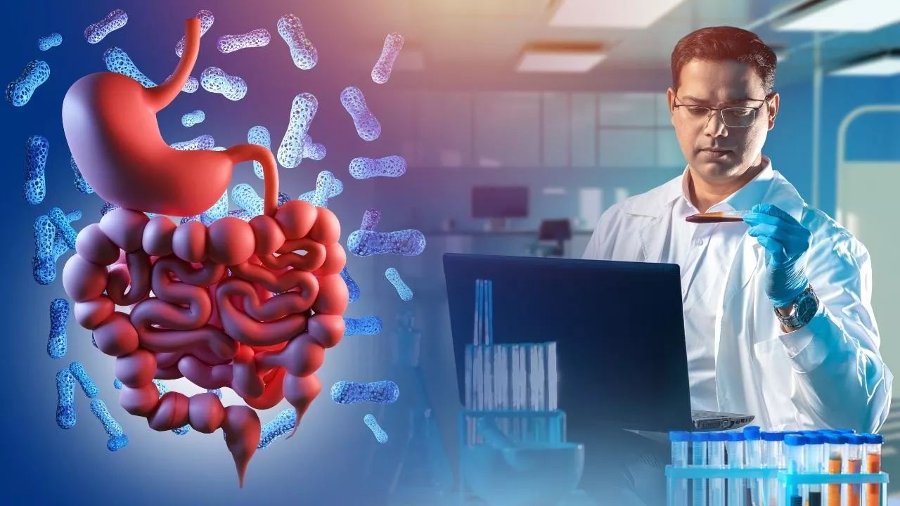 Ingredion i Holobiome mapują mikrobiom jelitowy (fot. shutterstock)