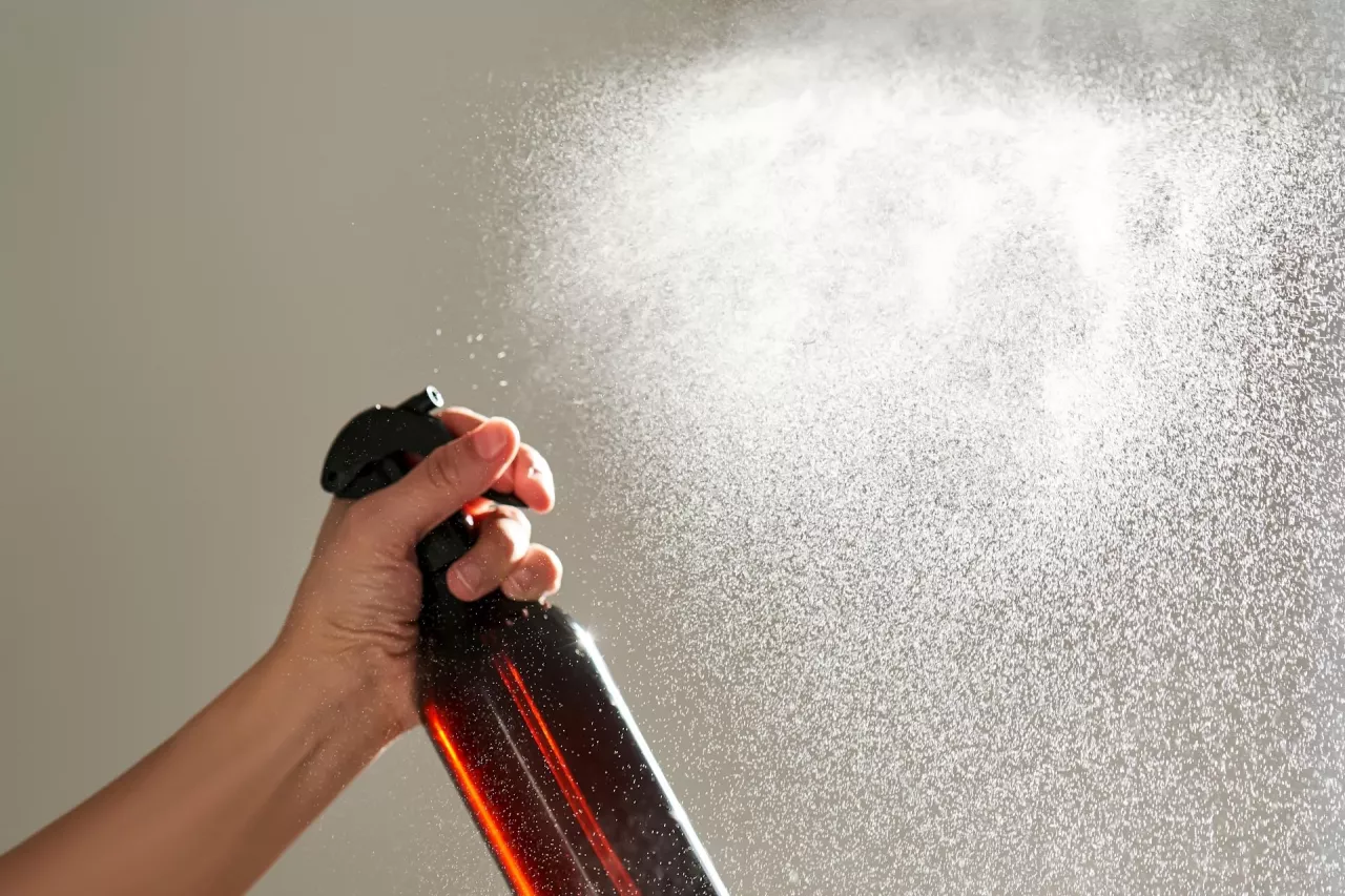 Zapach wpływa na wybór odświeżaczy powietrza (fot. Shutterstock)